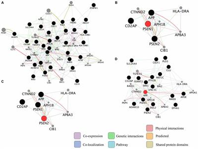 Dissecting the Molecular Mechanisms of Neurodegenerative Diseases through Network Biology